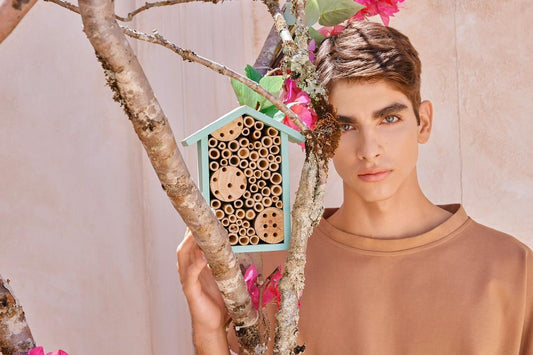 COLMENA REFUGIO CASITA